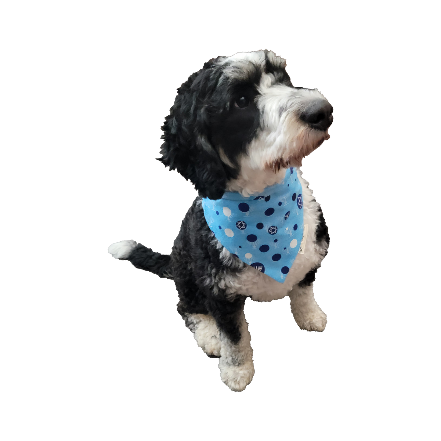 Hanukkah Menorah Star of David Dog Bandana